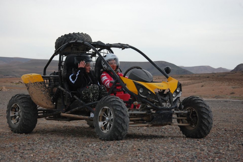 Marrakech Buggy in the Palm Groves