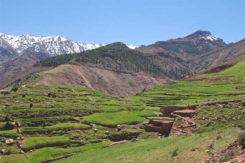 Excursion d'une journée à Imlil dans les montagnes de l'Atlas